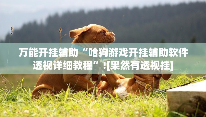 萬能開掛輔助“哈狗游戲開掛輔助軟件透視詳細教程”![果然有透視掛]