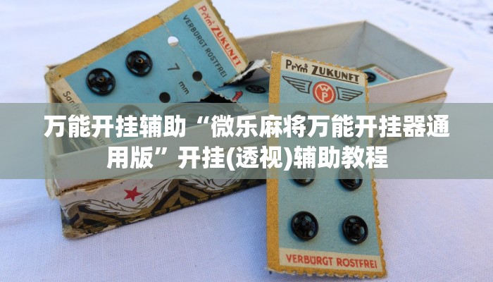 輔助神器“光澤麻將能不能開掛”開掛詳細(xì)教程