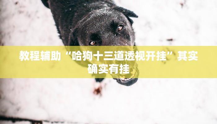 玩家輔助神器:“眾娛競(jìng)技能不能開掛”其實(shí)確實(shí)有掛