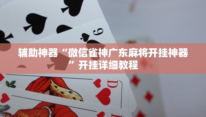 玩家輔助神器:“毛豆大廳有掛嗎”其實確實有掛