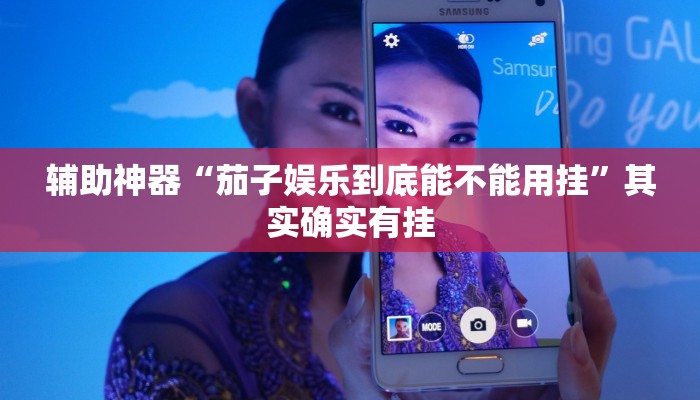 玩家輔助神器:“親友圈麻將能不能開掛”其實確實有掛