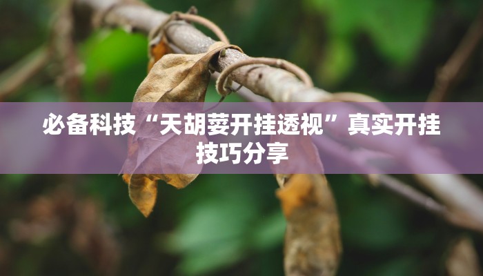輔助神器“金華佛手確實(shí)有掛嗎”詳細(xì)透視輔助教程