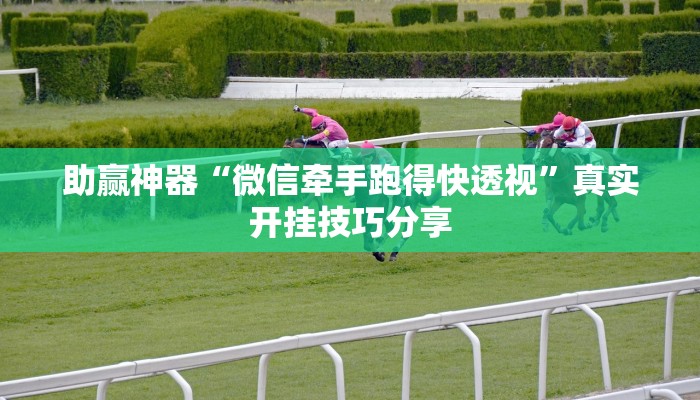 輔助神器“新海貝之城有掛嗎”其實確實有掛 輔助神器“新海貝之城有掛嗎”其實確實有掛