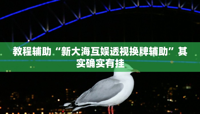 輔助神器“恩施湖北麻將能不能開掛”開掛詳細教程