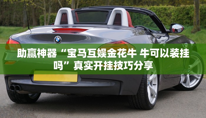 必看教程“新閑游龍巖麻將確實(shí)有掛嗎”(透視)原來有神器下載!