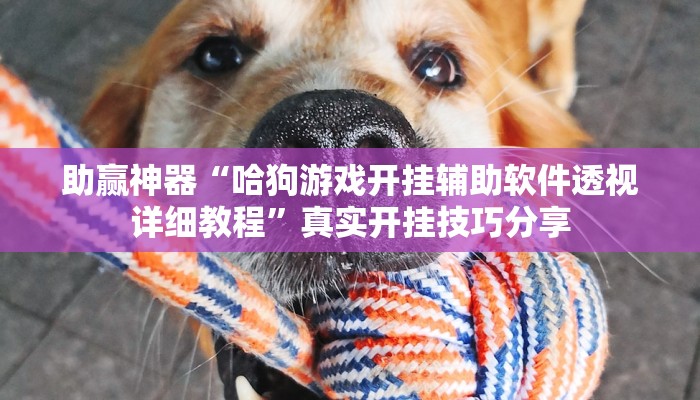 助贏神器“天府棋牌有掛嗎”真實開掛技巧分享 助贏神器“天府棋牌有掛嗎”真實開掛技巧分享