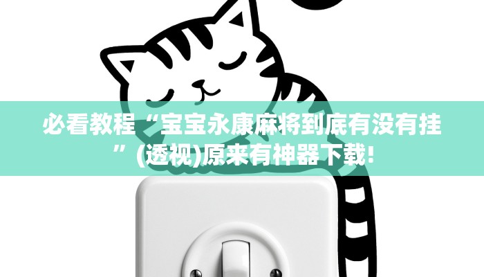 必看教程“新天天游戲到底有沒有掛”詳細(xì)透視輔助教程