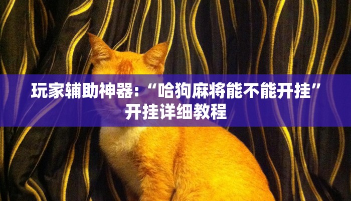 玩家輔助神器:“哈狗麻將能不能開(kāi)掛”開(kāi)掛詳細(xì)教程 玩家輔助神器:“哈狗麻將能不能開(kāi)掛”開(kāi)掛詳細(xì)教程