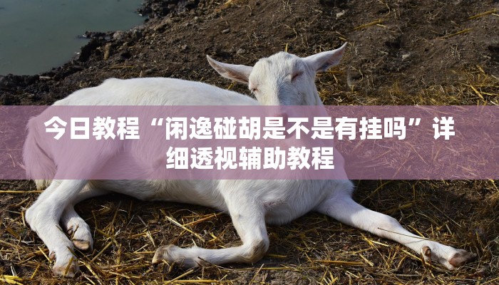 今日教程“閑逸碰胡是不是有掛嗎”詳細(xì)透視輔助教程 今日教程“閑逸碰胡是不是有掛嗎”詳細(xì)透視輔助教程