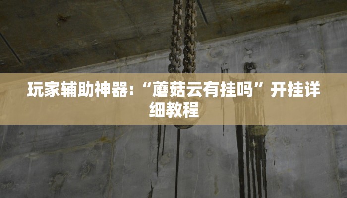 重磅消息“天天黃石麻將到底有沒(méi)有掛”詳細(xì)透視輔助教程