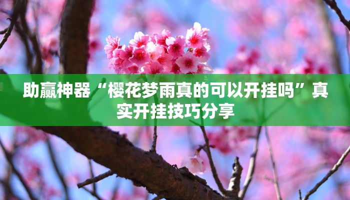 助贏神器“櫻花夢雨真的可以開掛嗎”真實(shí)開掛技巧分享