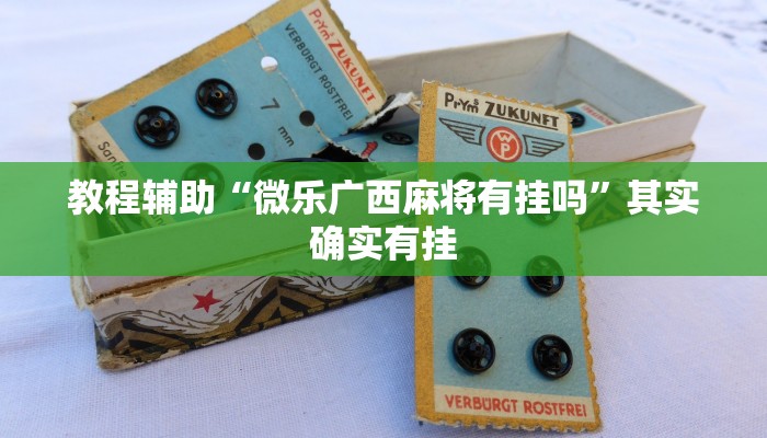 教程輔助“微樂(lè)廣西麻將有掛嗎”其實(shí)確實(shí)有掛