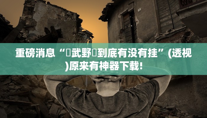 重磅消息“東武野産到底有沒有掛”(透視)原來有神器下載! 重磅消息“東武野産到底有沒有掛”(透視)原來有神器下載!