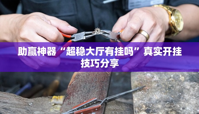 助贏神器“超穩(wěn)大廳有掛嗎”真實(shí)開(kāi)掛技巧分享